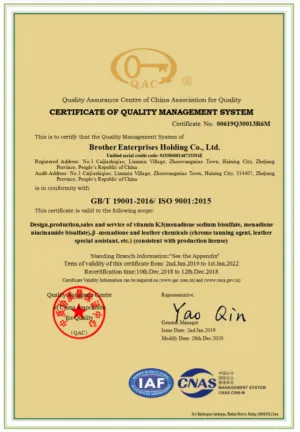 ISO9001(English)