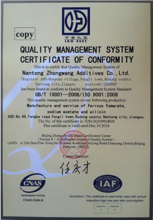 ISO9001(English)