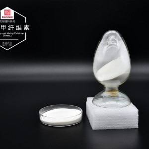 Hydroxypropyl Methyl Cellulose (HPMC)