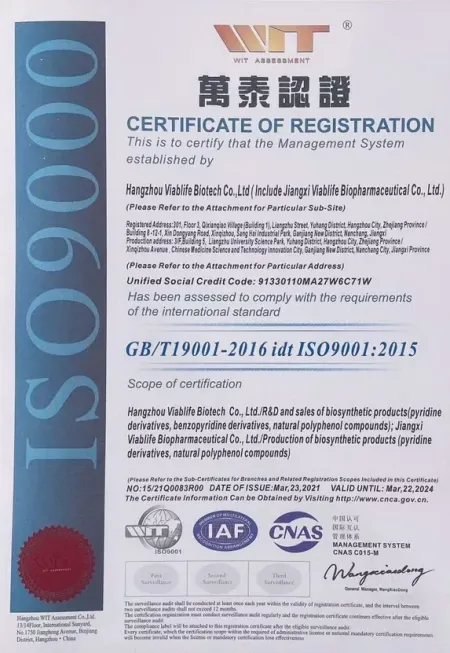 ISO9001(English)