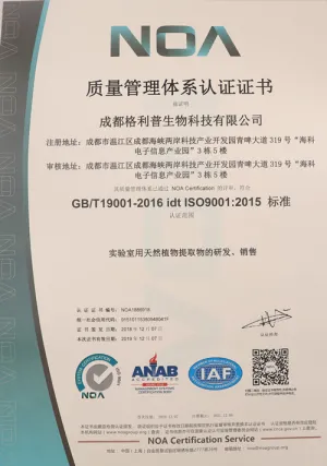 ISO9001(Chinese)