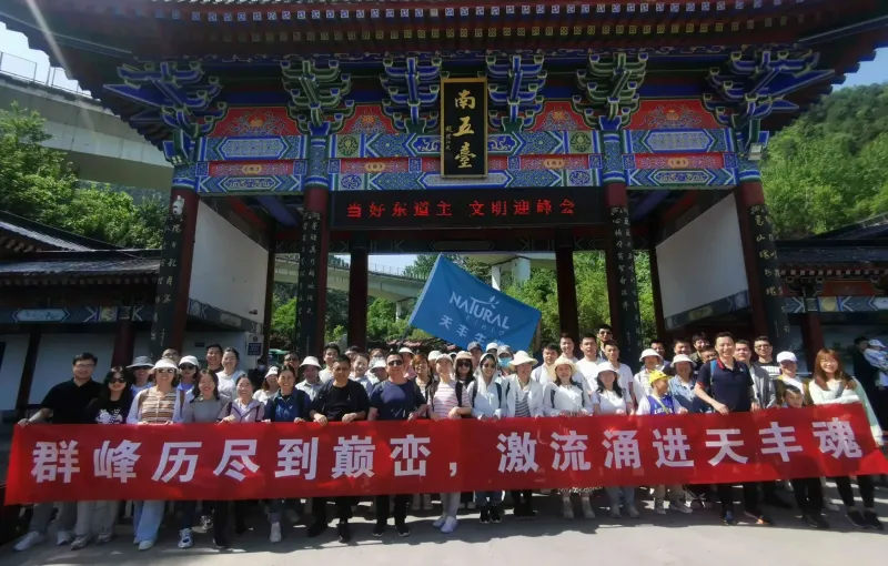 公司活动