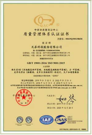 ISO9001(Chinese)