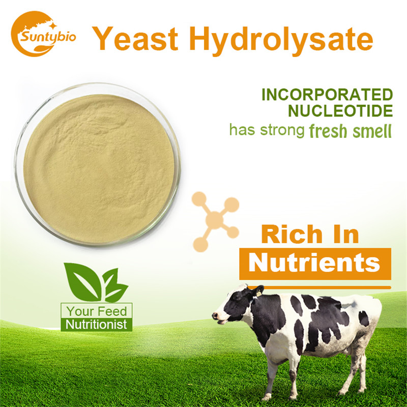 Yeast Hydrolysate 