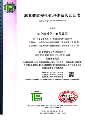 ISO45001