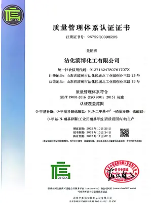 ISO9001(Chinese)
