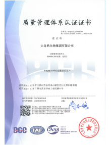 ISO9001(Chinese)