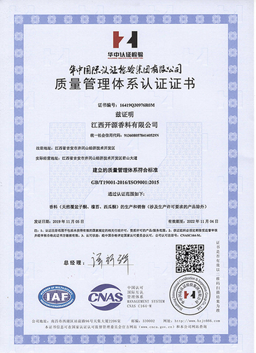 ISO9001(Chinese)