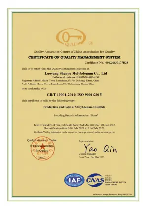 ISO9001(English)