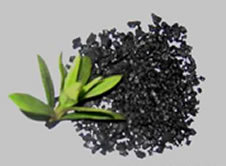 Hot Sale Plant Growth Regulator Potassium Humate Organic Humic Acid Fertilizer