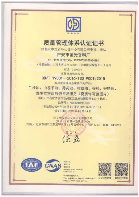 ISO9001(Chinese)