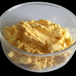 Coenzyme Q10