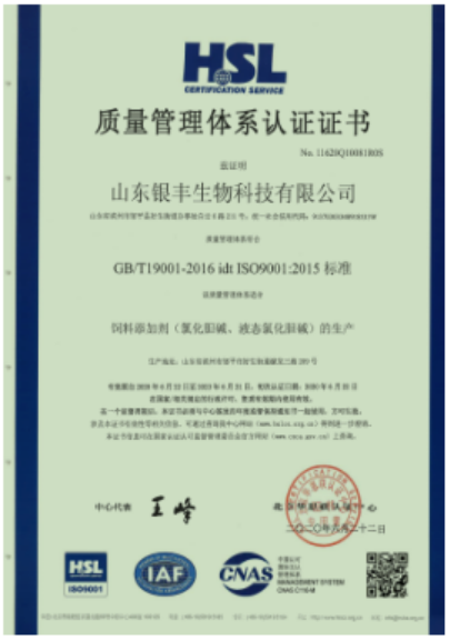 ISO9001(Chinese)