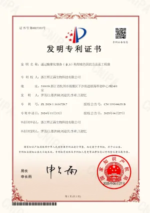 patent