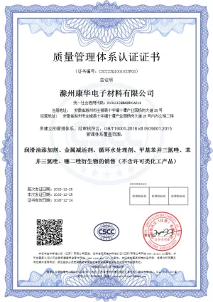 ISO9001(Chinese)