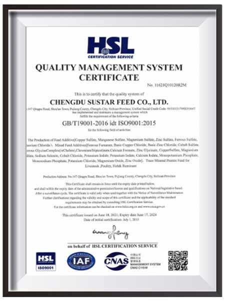 ISO9001(Chinese)