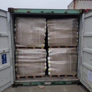 Choline Chloride Silica