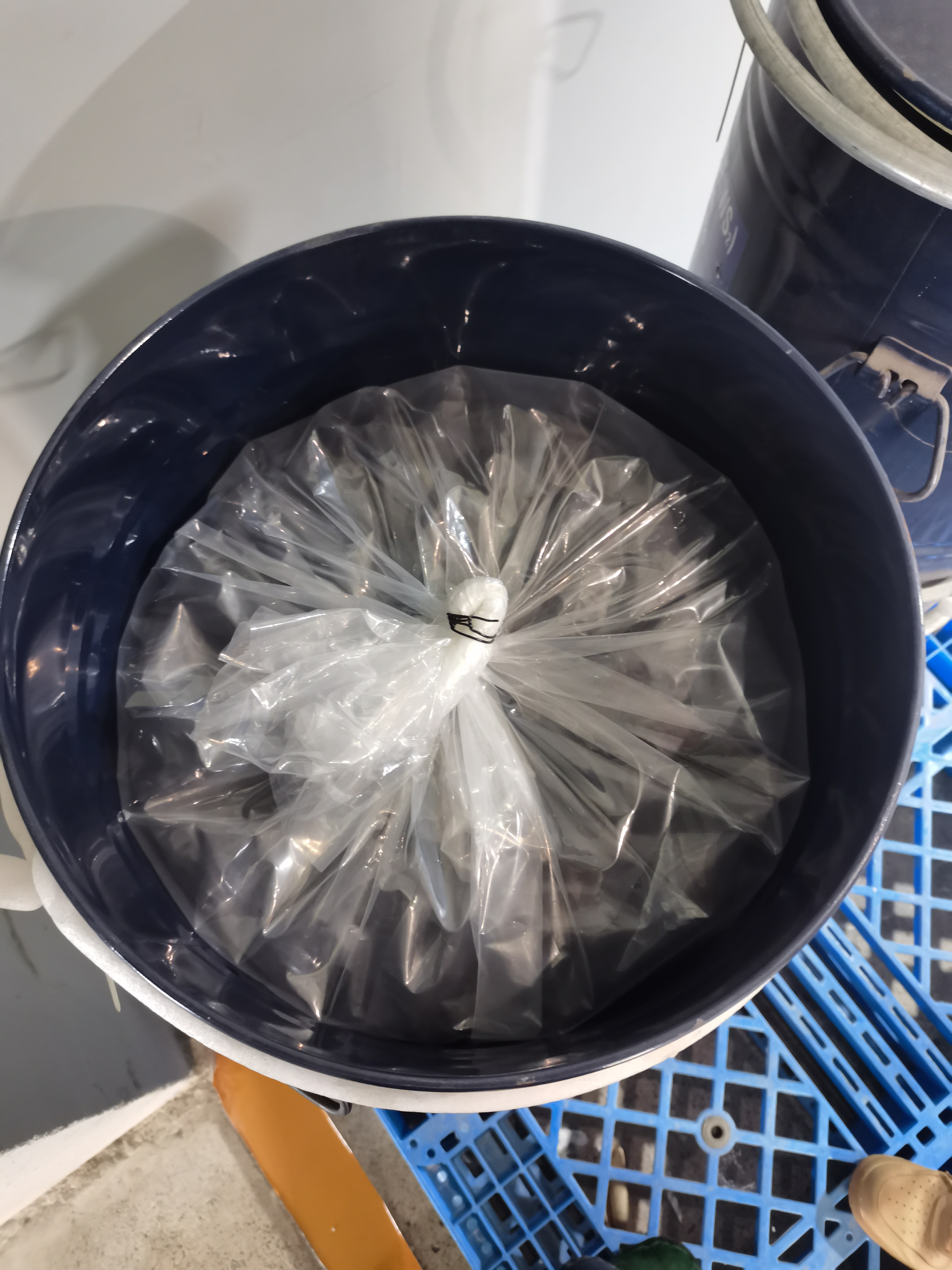 Tungsten Disulfide###Tungsten Sulfide 