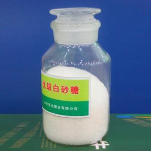 Superior grade white sugar