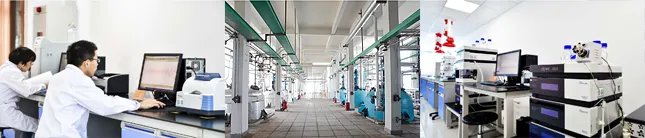 Factory Office