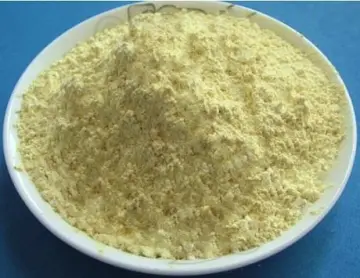 Folic Acid