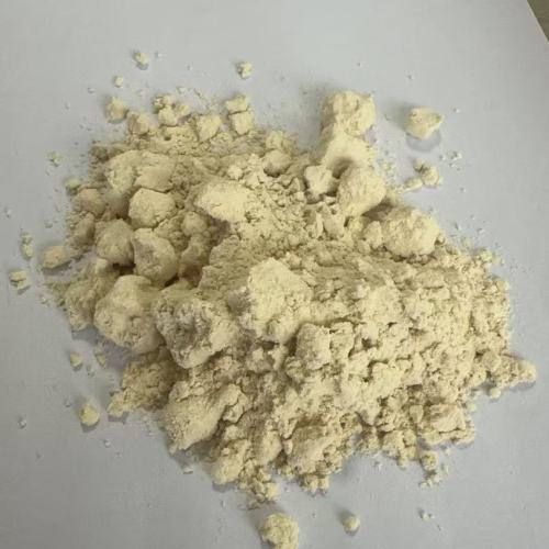 Pea Protein