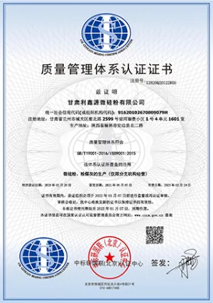 ISO9001(Chinese)