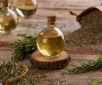 Turpentine oil (Chinese medicine extract)