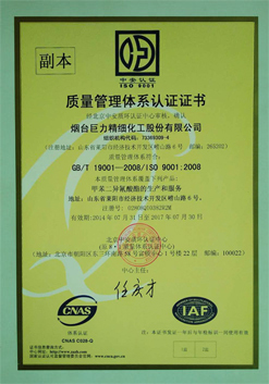 ISO9001(Chinese)