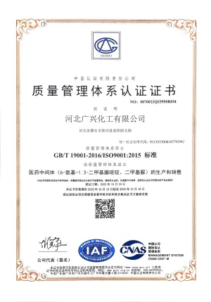 ISO9001(Chinese)