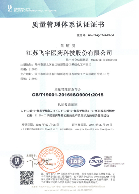 ISO9001(Chinese)