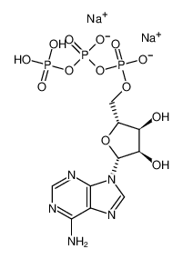 Adenosine 5'-triphosphate disodium salt（ATP） 987-65-5