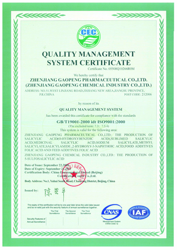 ISO9001(Chinese)