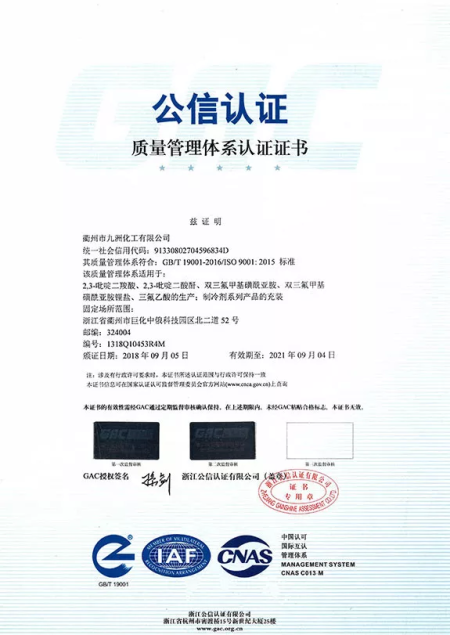 ISO9001(Chinese)