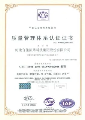 ISO9001(Chinese)