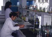 Factory Office