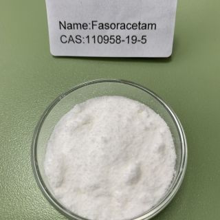 Fasoracetam CAS 110958-19-5