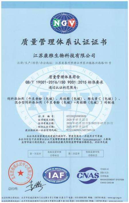 ISO9001(Chinese)