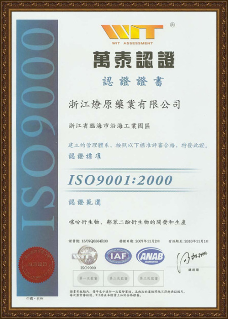 ISO9001(Chinese)