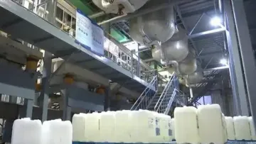 5,5-Dimethylhydantoin(DMH)