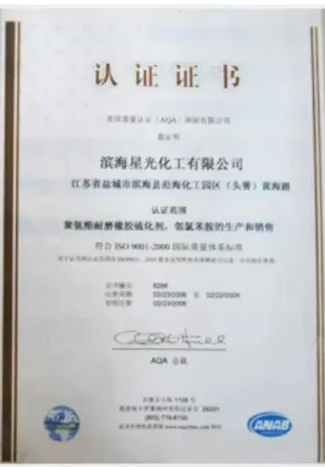 ISO9001(Chinese)