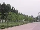 Factory Office