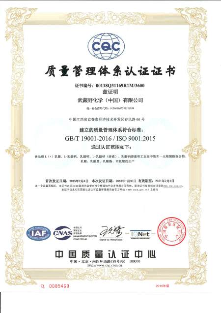 ISO9001(Chinese)