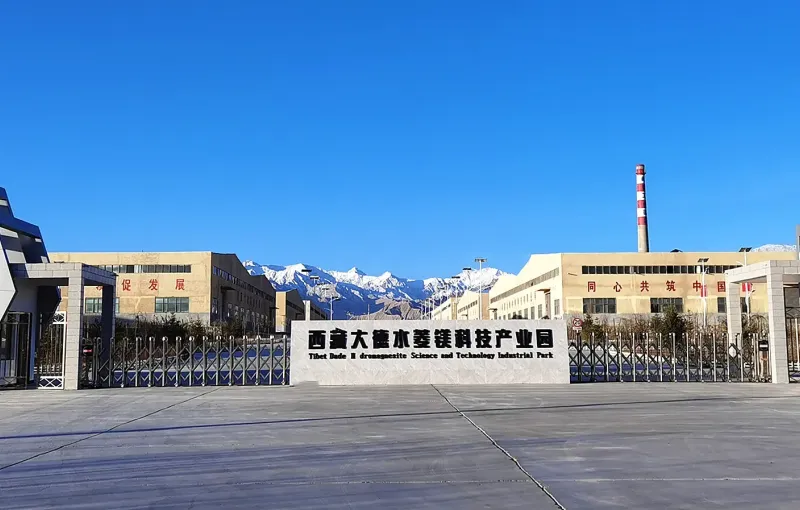 厂房大门