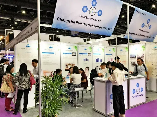 公司参展