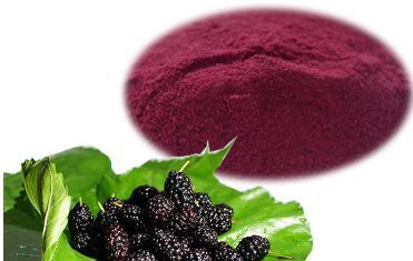 Mulberry Red Pigment