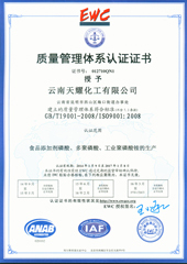 ISO9001(Chinese)