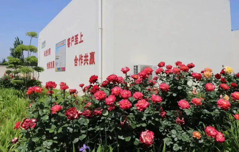 生产车间