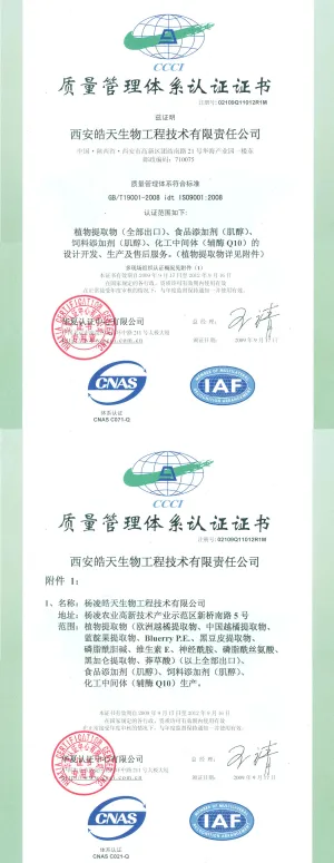 ISO9001(Chinese)