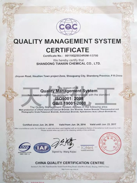 ISO9001(English)